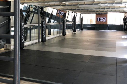 Dojo IKC